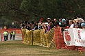 2010CIF XC GD4-0784